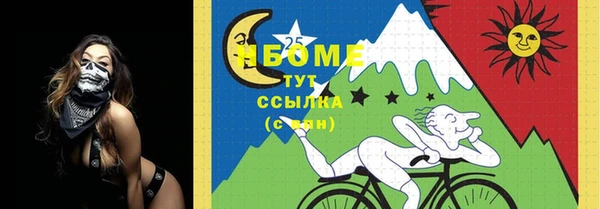 прущие грибы Богданович