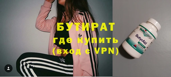 прущие грибы Богданович