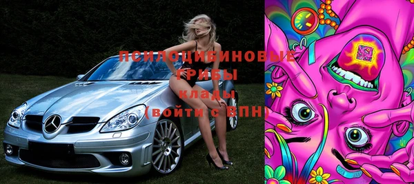 прущие грибы Богданович