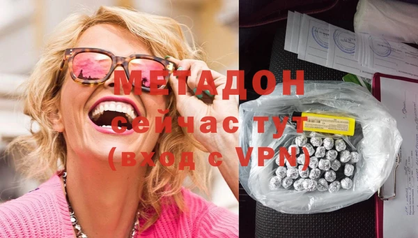 прущие грибы Богданович