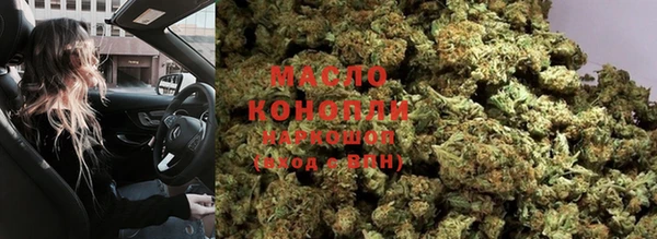 прущие грибы Богданович