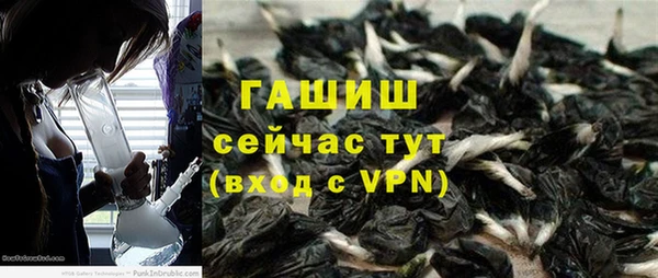 мдпв Богородск