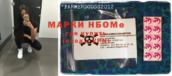 прущие грибы Богданович