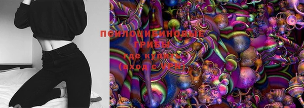 прущие грибы Богданович