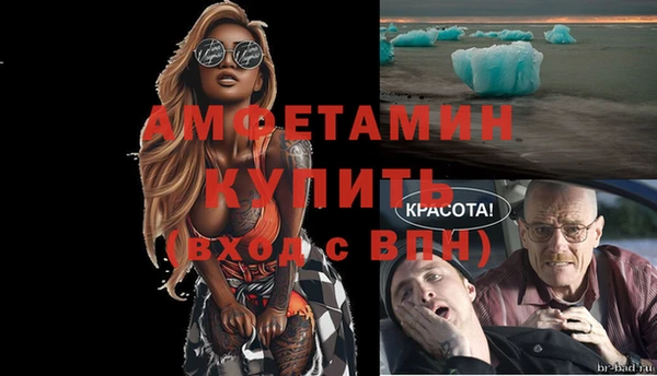 мдпв Богородск