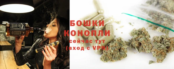 мдпв Богородск
