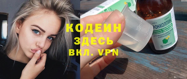 прущие грибы Богданович
