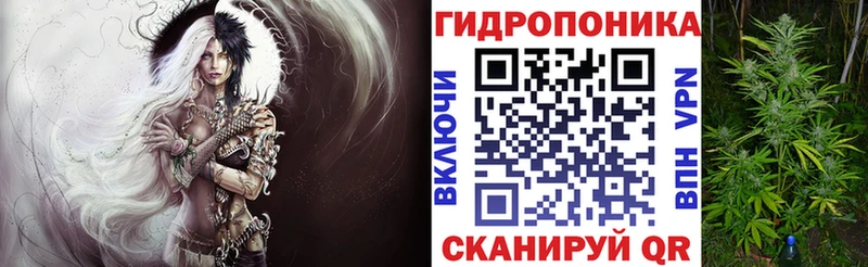 Шишки марихуана Amnesia  Михайлов 